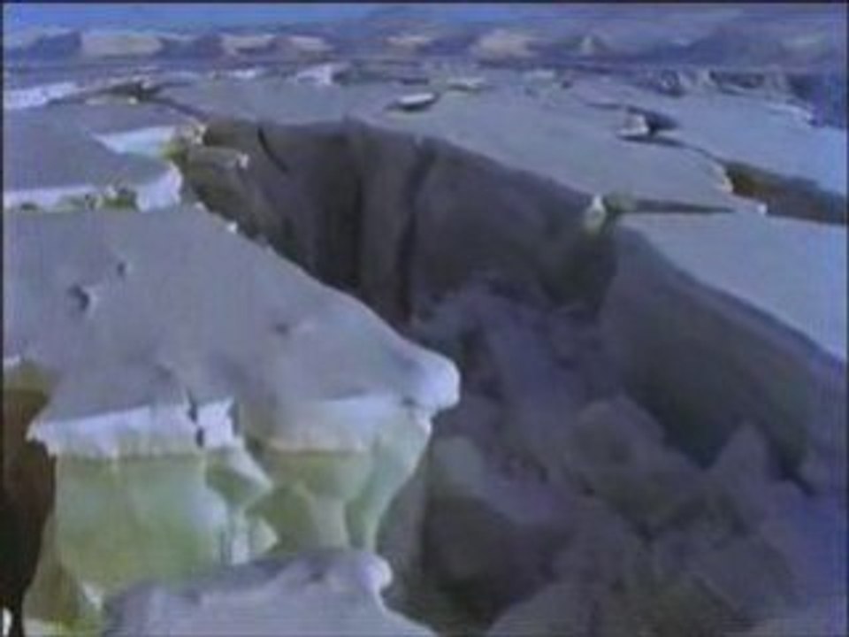 L'ours polaire Partie 1