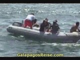 Snorkeling video at the Galapagos Islands