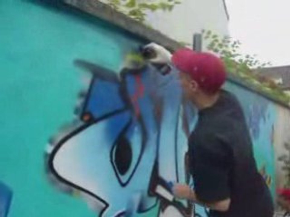 Videograftroyes