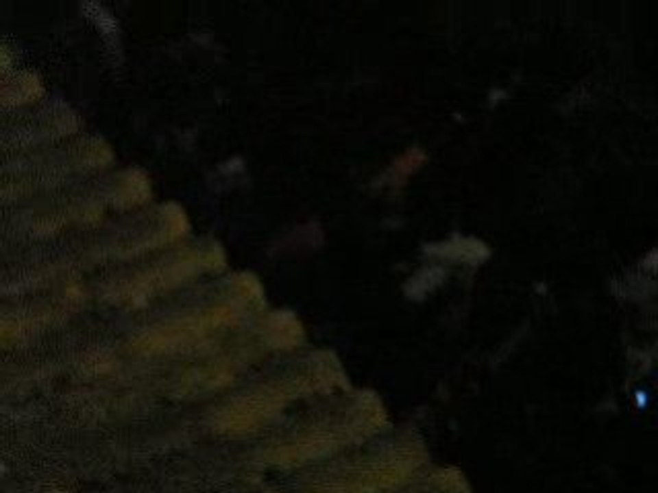 PICT0036