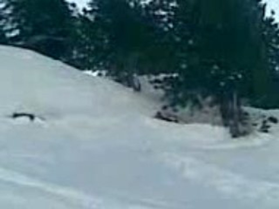 Vidéo005