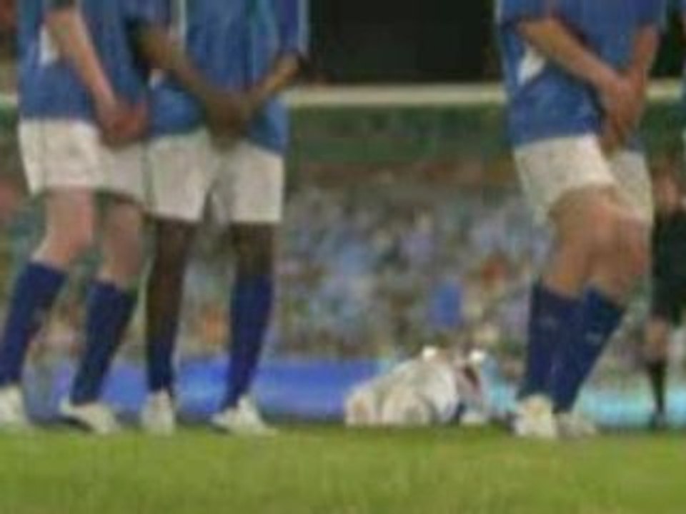 Lapins cretin euro 2008