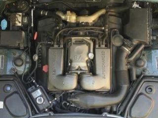 Peinture à l'huile 3