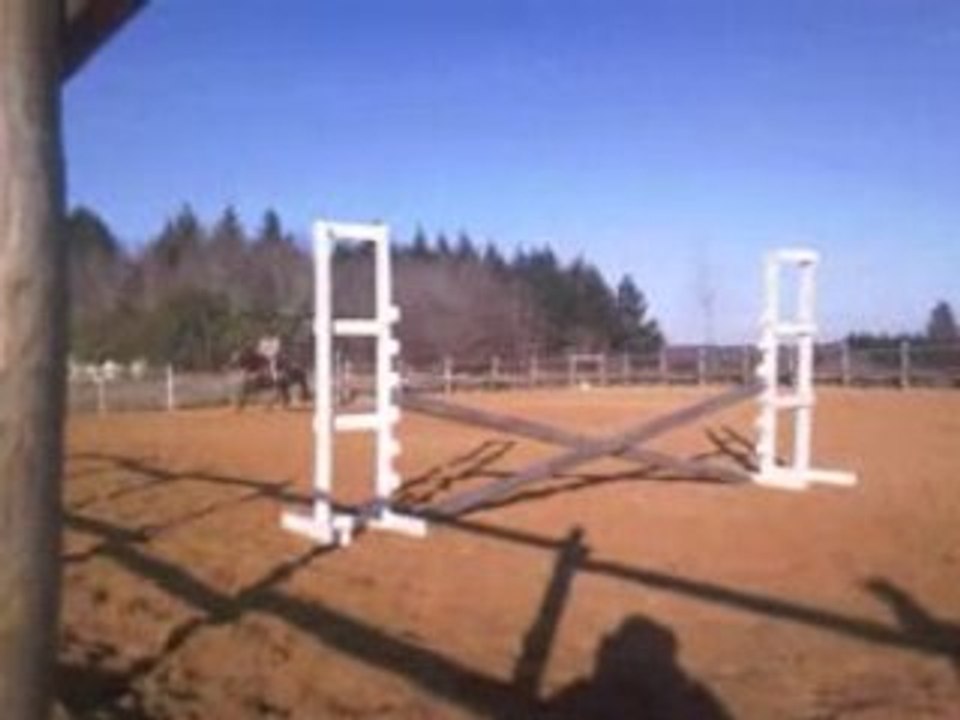 Queen Saut Hiver 2008(2)