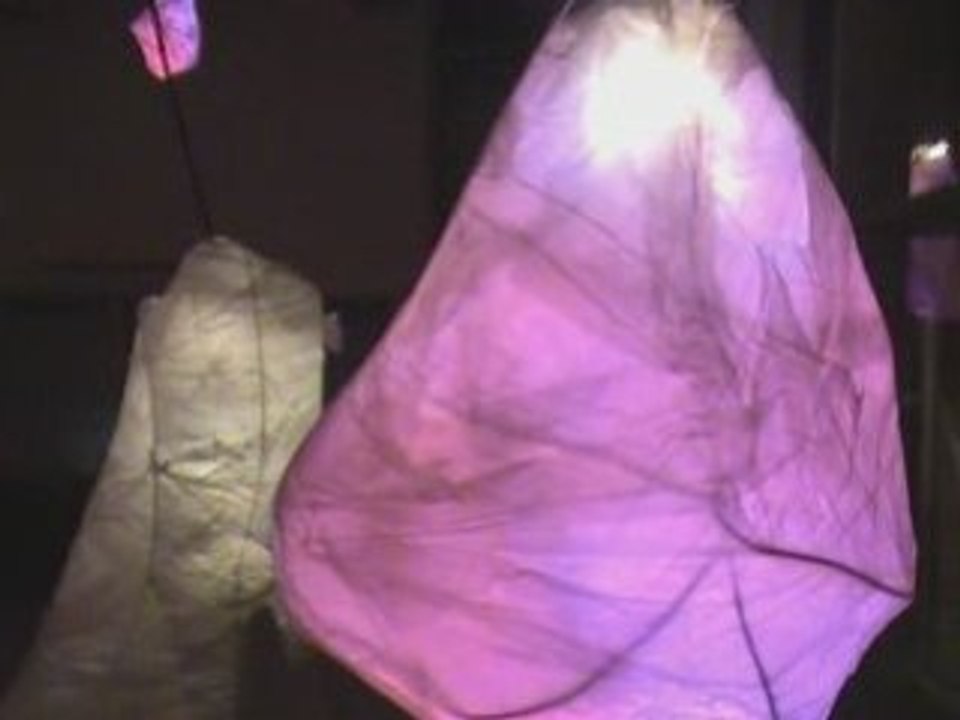 fete des lumières - lyon