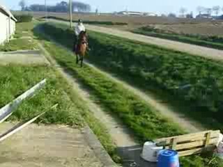 le 29 décembre 2008