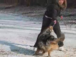 Cowboy Entraînement dans la Neige