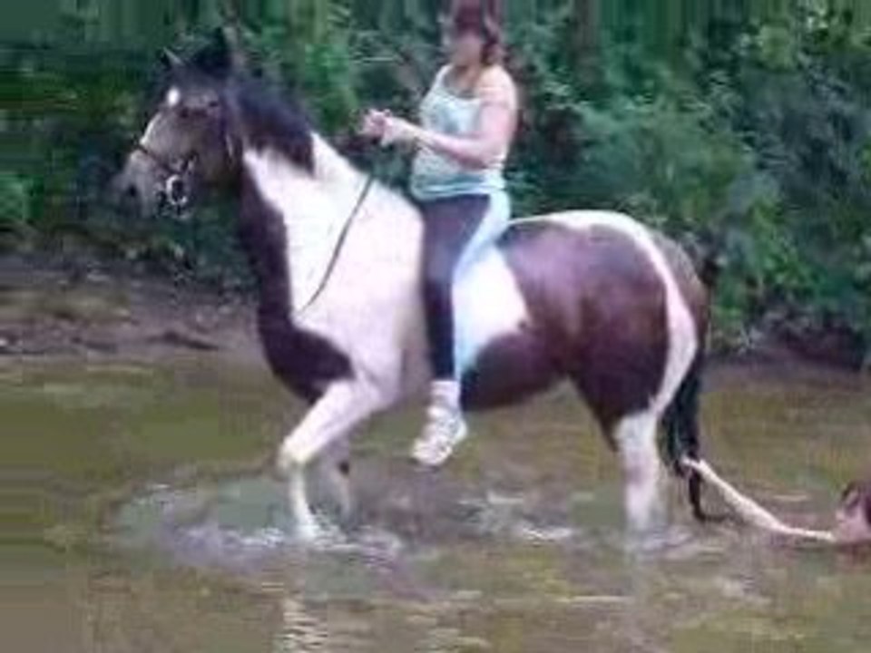 Name des elfes d'argents