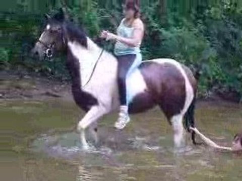 Name des elfes d'argents