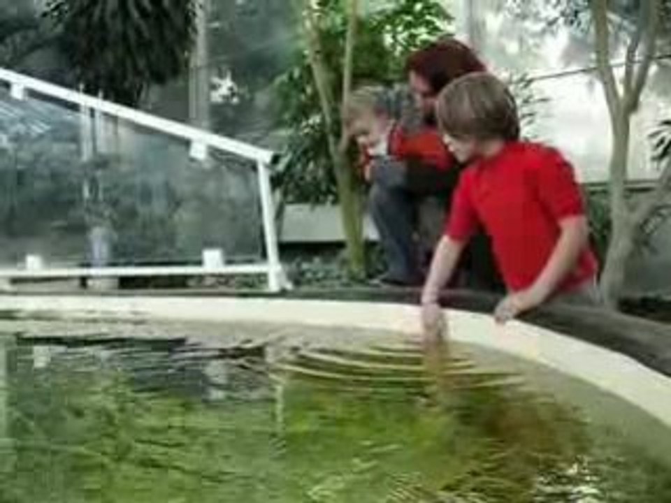 Noel 2008 241