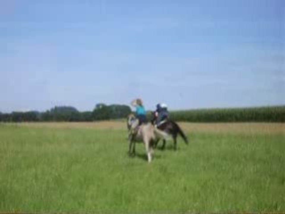 Aurél sur Pépette et Saltz sur BB galop