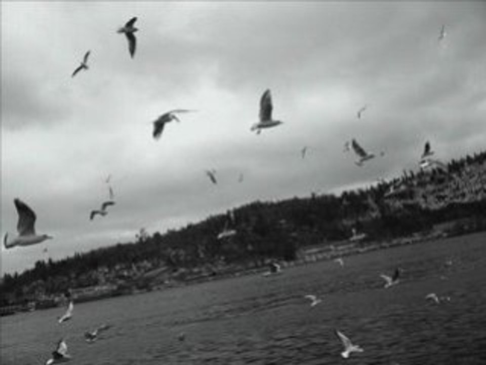 Erkan Oğur-İsmail H Demircioğlu - can ellerinden gelmişem