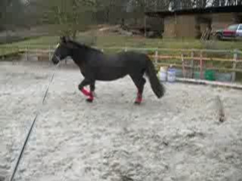 premier passage d'une barre au sol