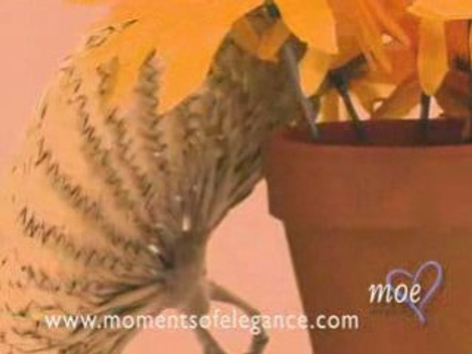 Buri Fans for Weddings