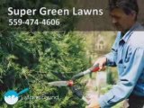 Lawn Services & Landscaping in Fresno & Clovis California