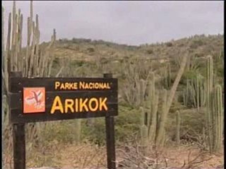 Aruba - A Special Island