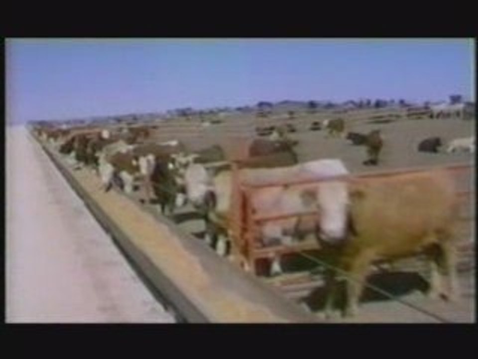 Global Warming - Facts and Solution!