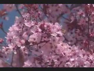 Теб ще призова