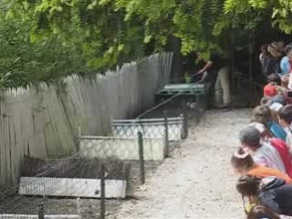 Tiercé de Lapins ou run rabbit