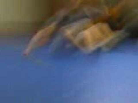 Killien -corde a sauter- mdr