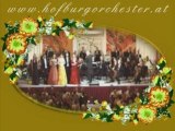 Concerto di Capodanno di Vienna - Wiener Hofburg Orchester