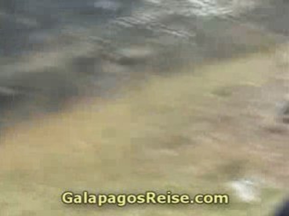 Galapagos Islands - Picnic at the Devils Nose
