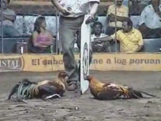 COLISEO CHABELITA - FINAL UNIVERSIDAD A LAS PERUANAS 2008