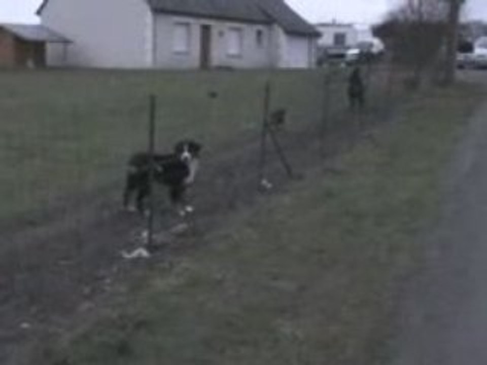Dans la campagne de Saumur