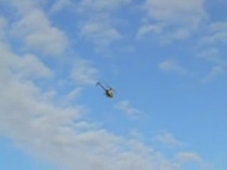 Trex 600 A123 12s voltige