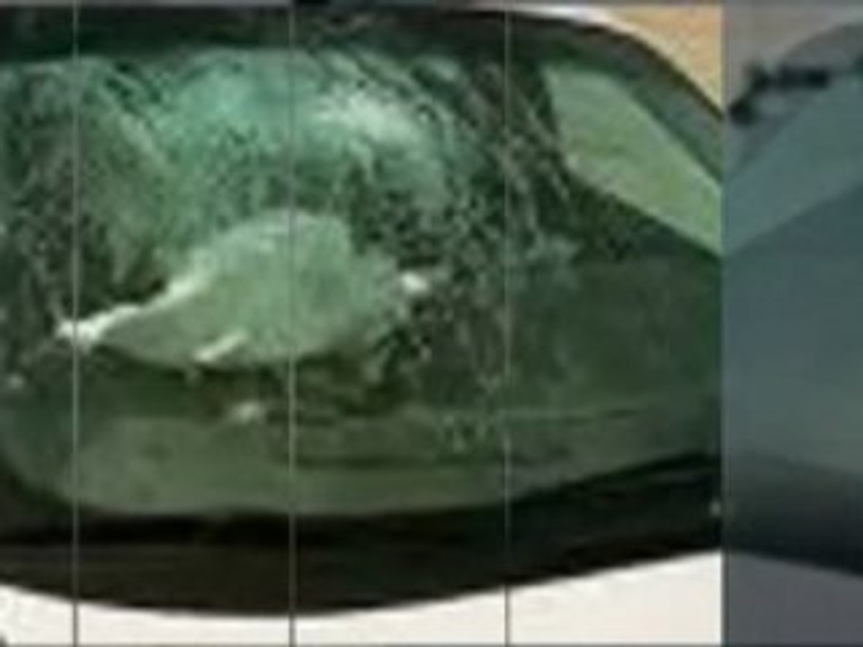 Chapel Hill Auto Glass / http://www.FixMyWindshield.com