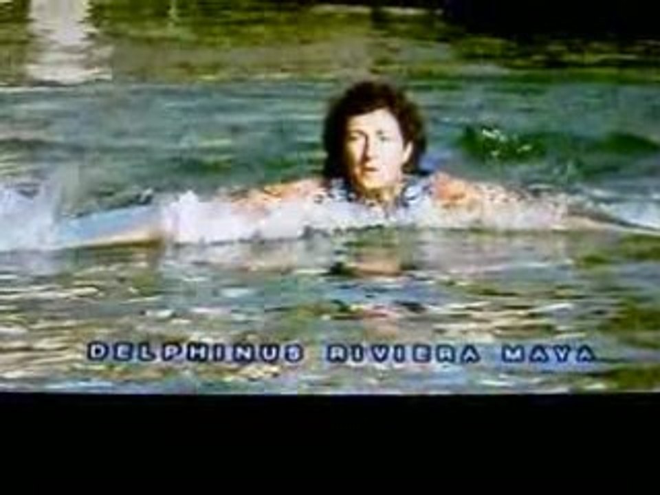 Mexique : Nager avec des dauphins