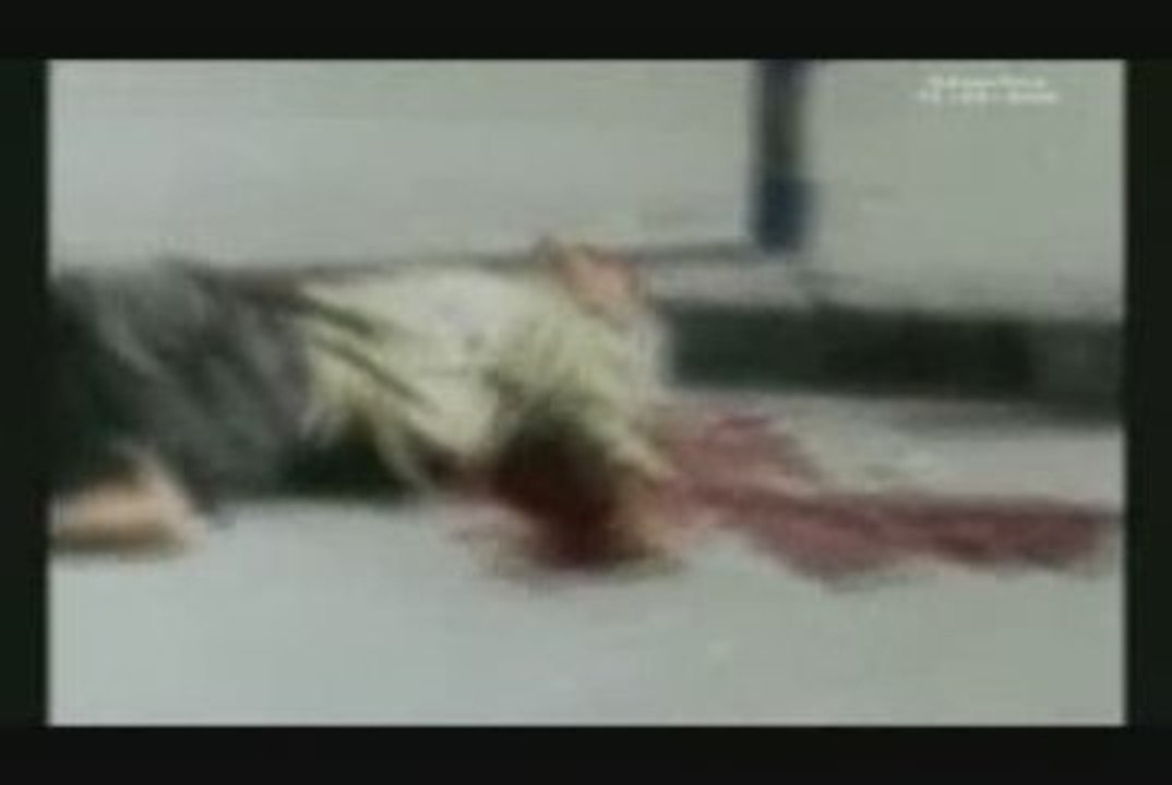 Comment la racaille sioniste s'est emparée de la palestine