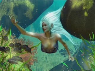 2008, patrick montage vidéo océan