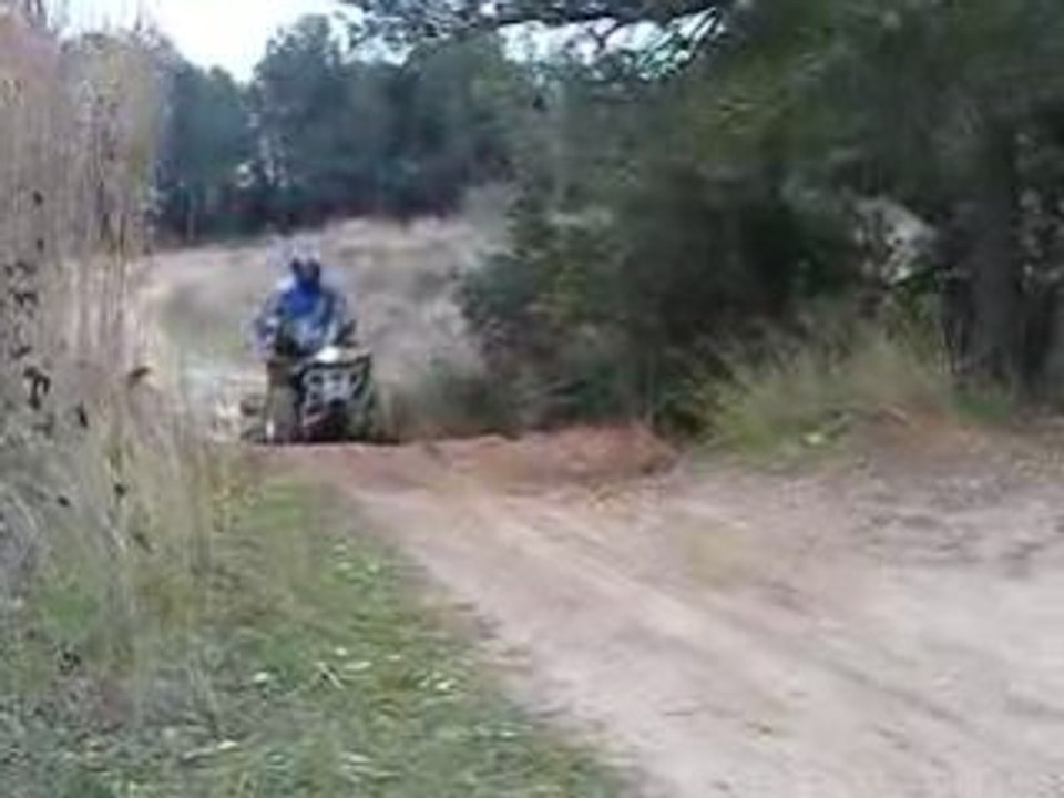 Photo 010