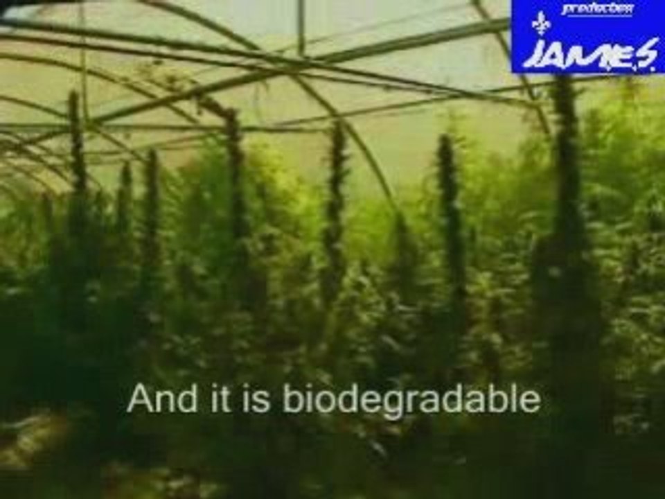 2 2 conspiration contre le cannabis (english subtitles)