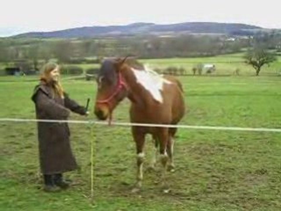 Raya 31decembre-3janvier