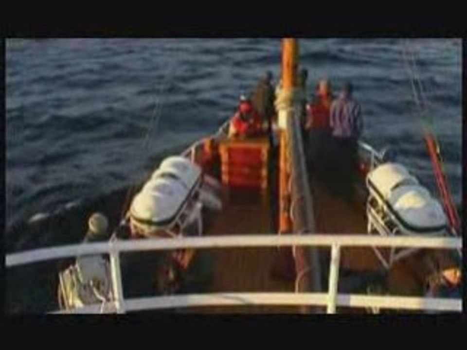 Toples - płyniesz w moich żyłach