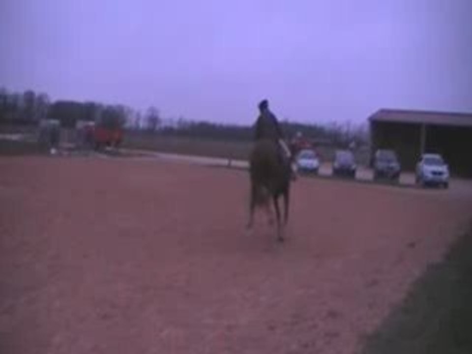 Oxer MG