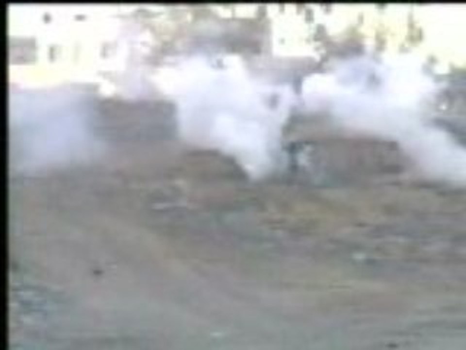 Arab Protests Gaza War