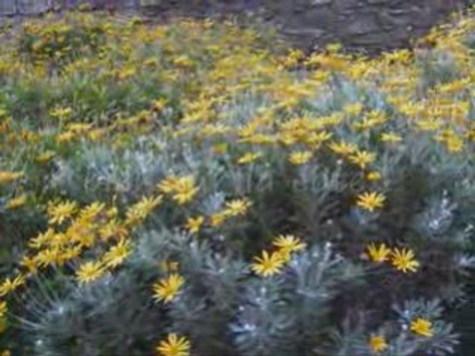 Balade 1 et 2 janvier 2009