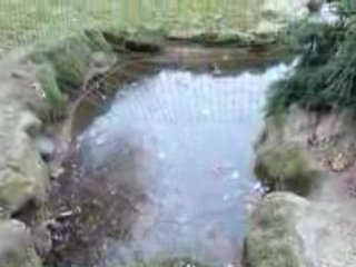 glaçon aux buttes chaumont