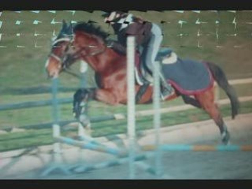 Ozane et quid cso