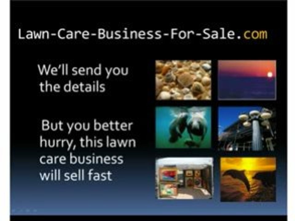 Lawn Care Business For Sale Make $$$