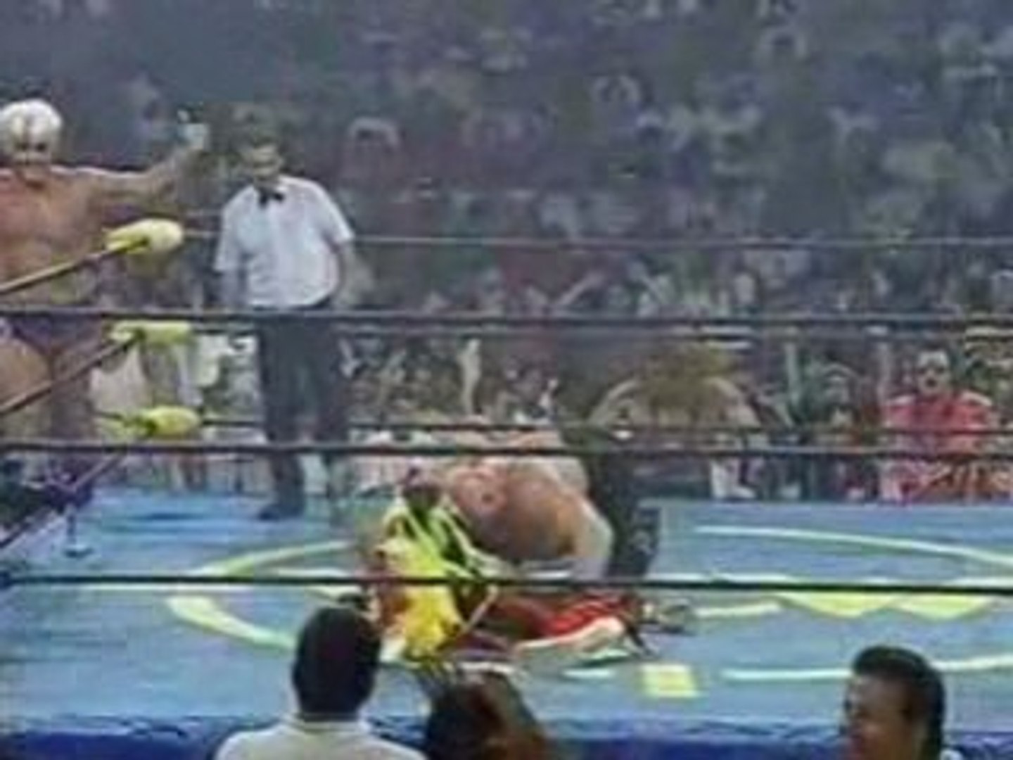 Hulk Hogan & Randy Savage vs. Ric Flair & Vader - فيديو Dailymotion