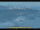 The Galapagos Islands - Video Blog Part 8