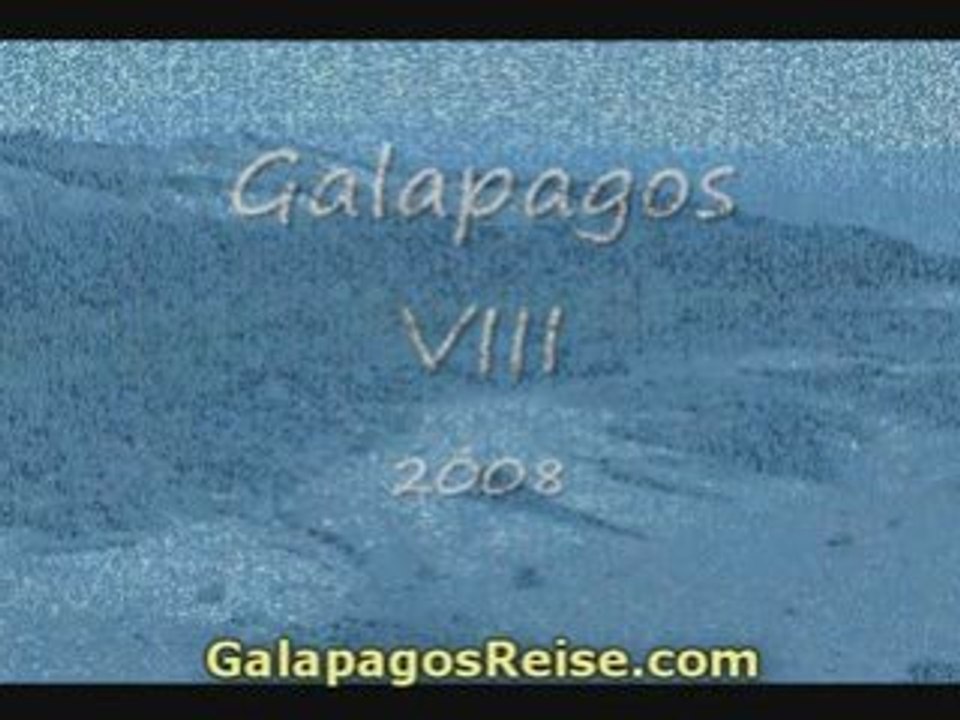 The Galapagos Islands - Video Blog Part 8