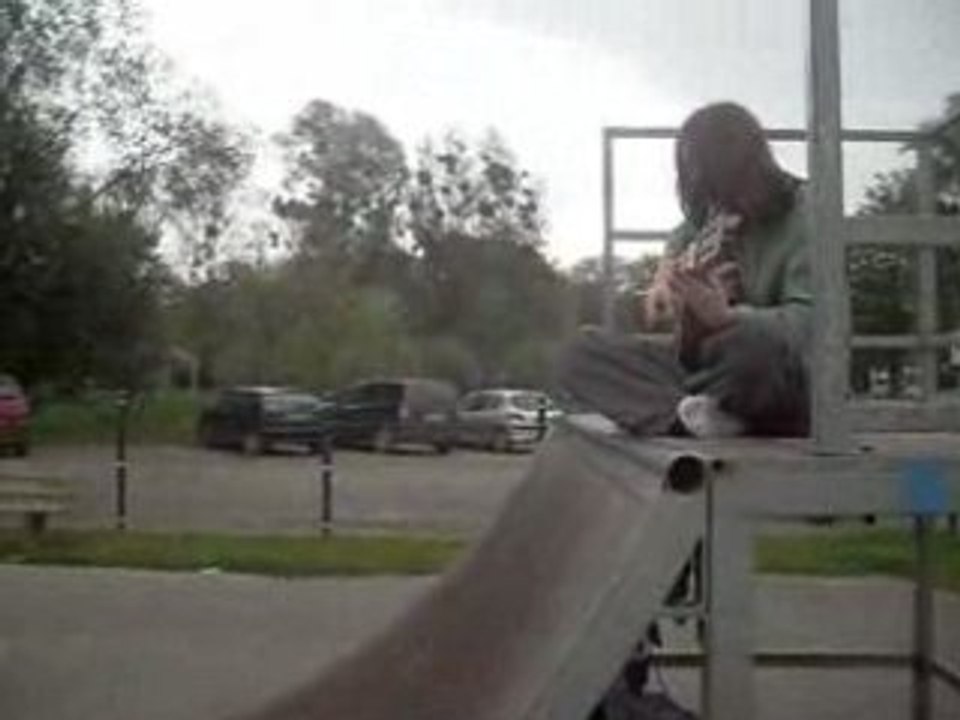 Bricot skatepark