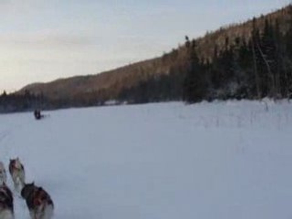 MOV01141
