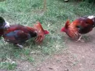 Sw kel 20 mos VS sweater kelso 15 mos