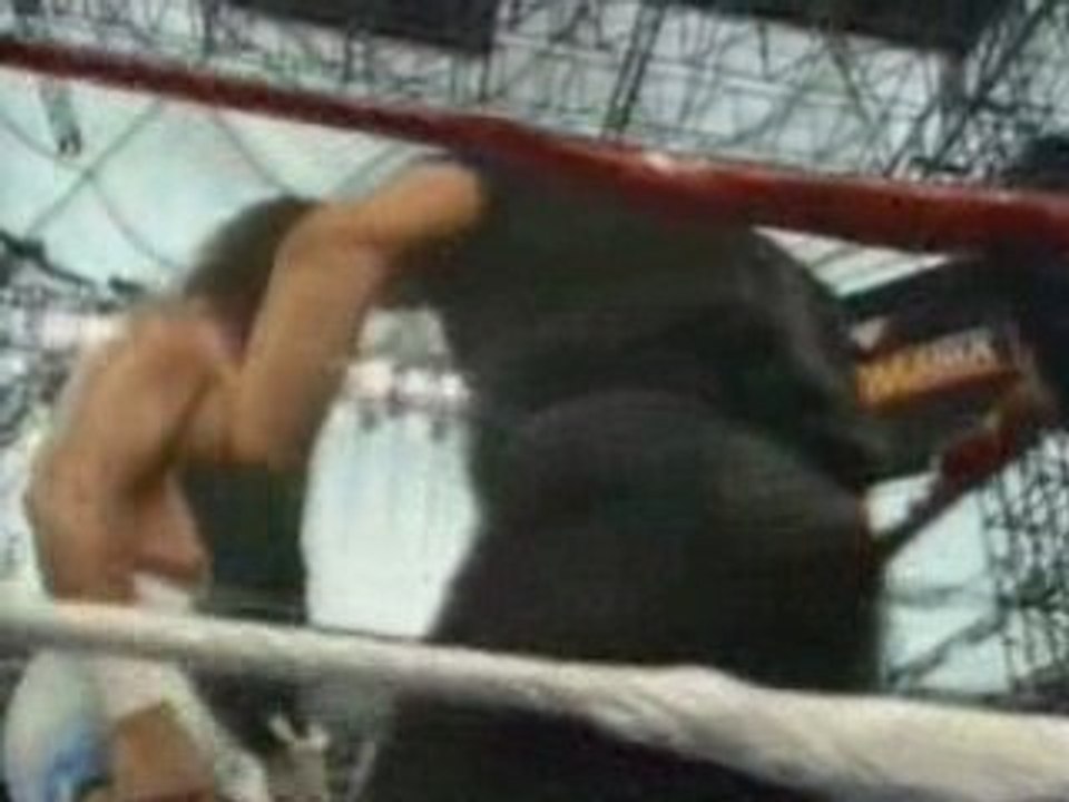 Wrestlemania VIII - Undertaker vs Jake Roberts